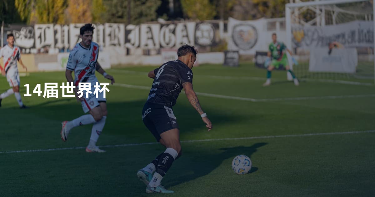 14届世界杯