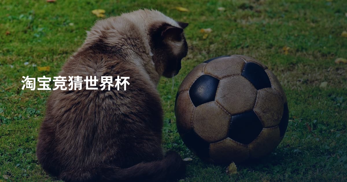 淘宝竞猜世界杯