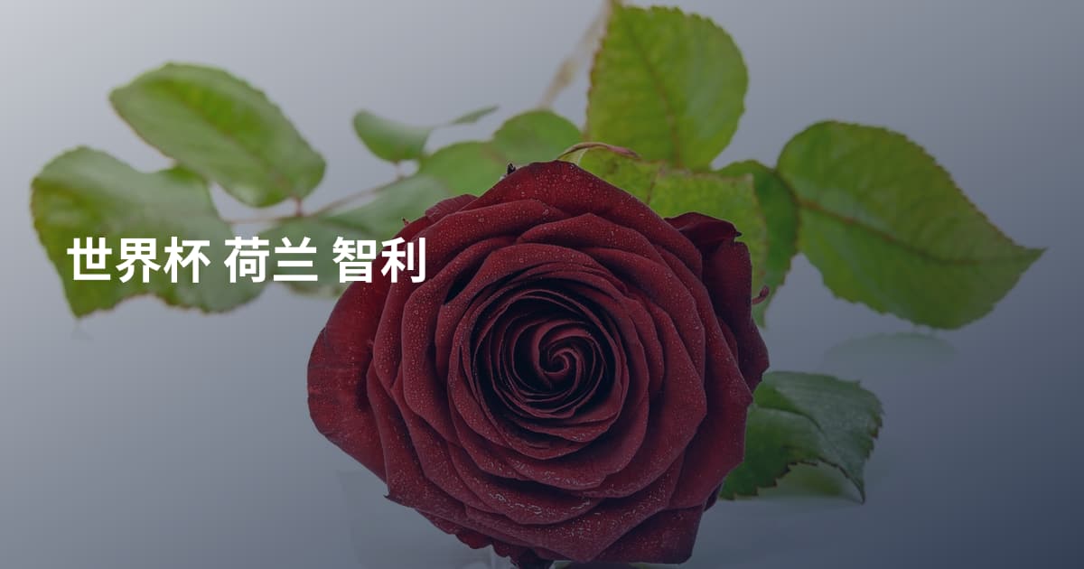 世界杯 荷兰 智利