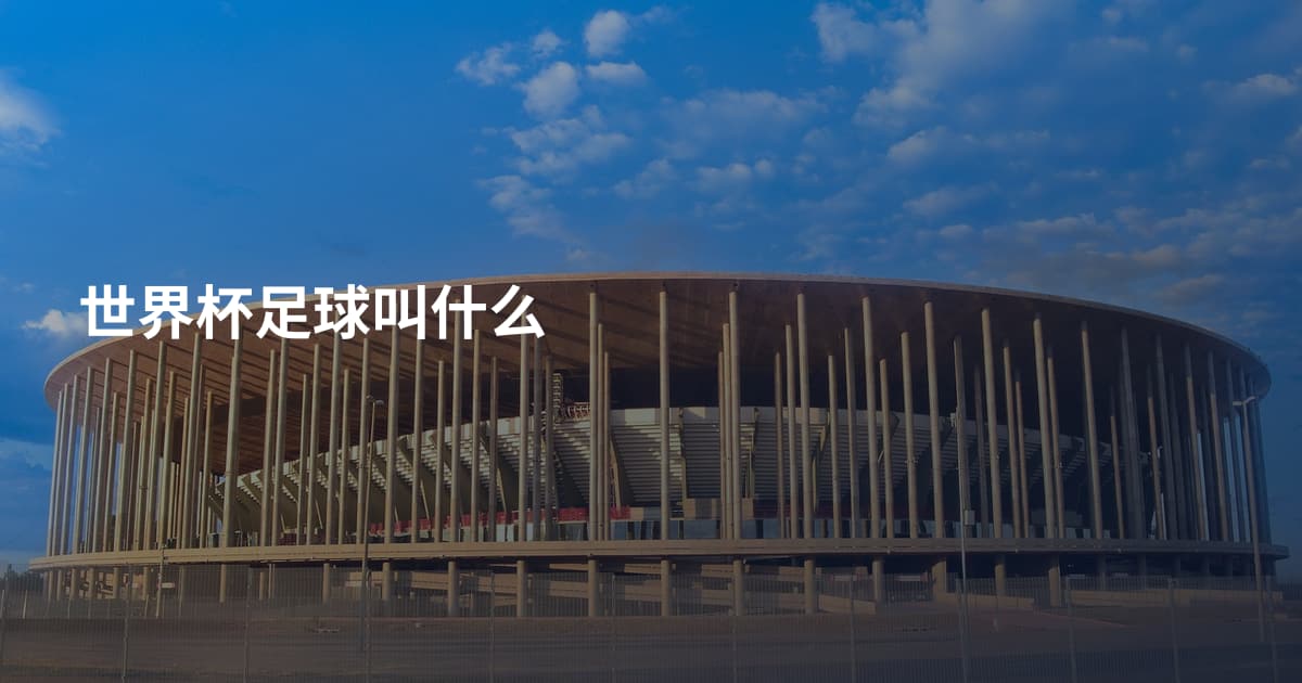 世界杯足球叫什么