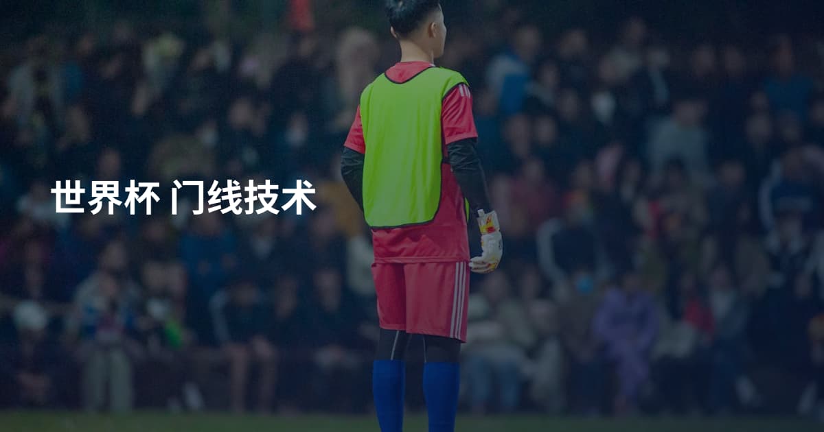 世界杯 门线技术