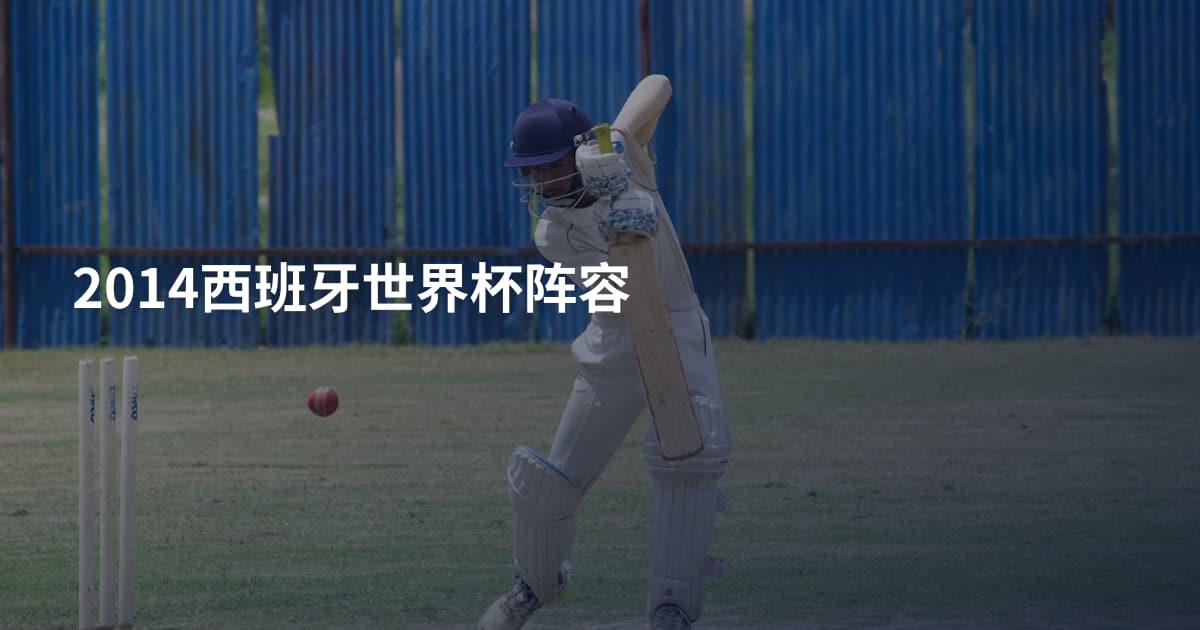 2014西班牙世界杯阵容