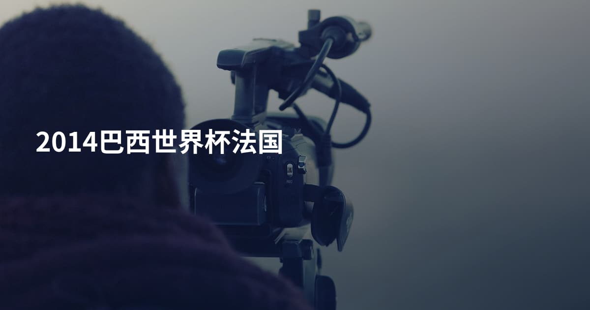 2014巴西世界杯法国