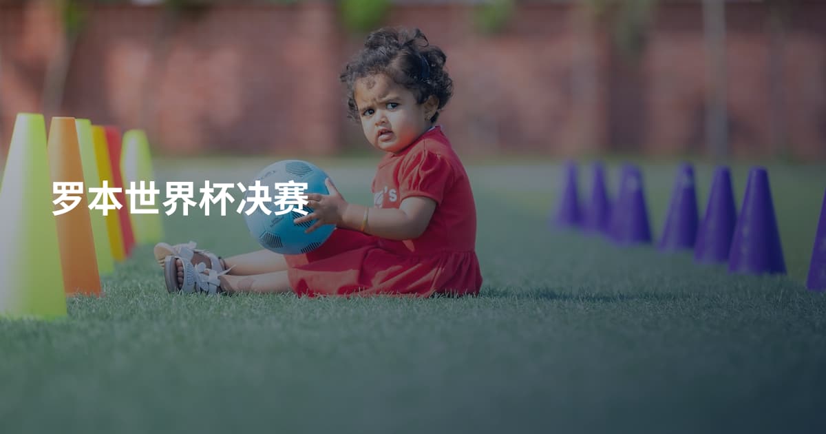 罗本世界杯决赛
