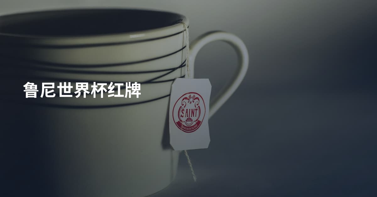 鲁尼世界杯红牌