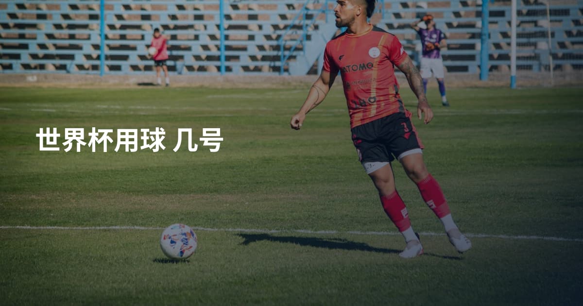 世界杯用球 几号