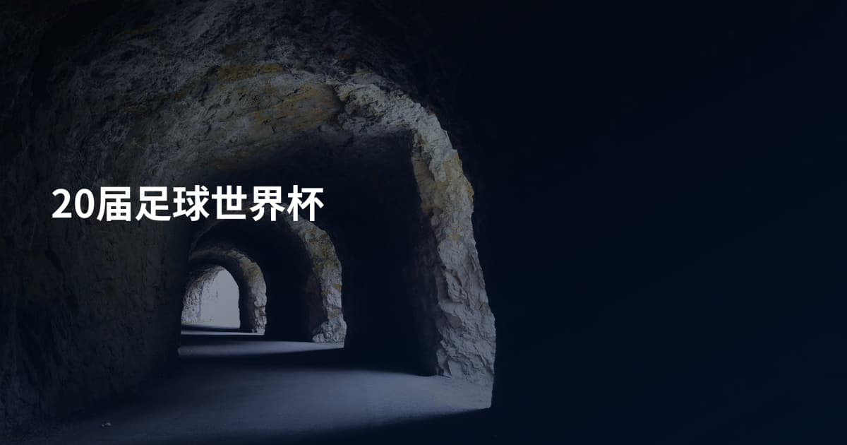 20届足球世界杯