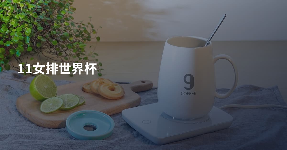 11女排世界杯