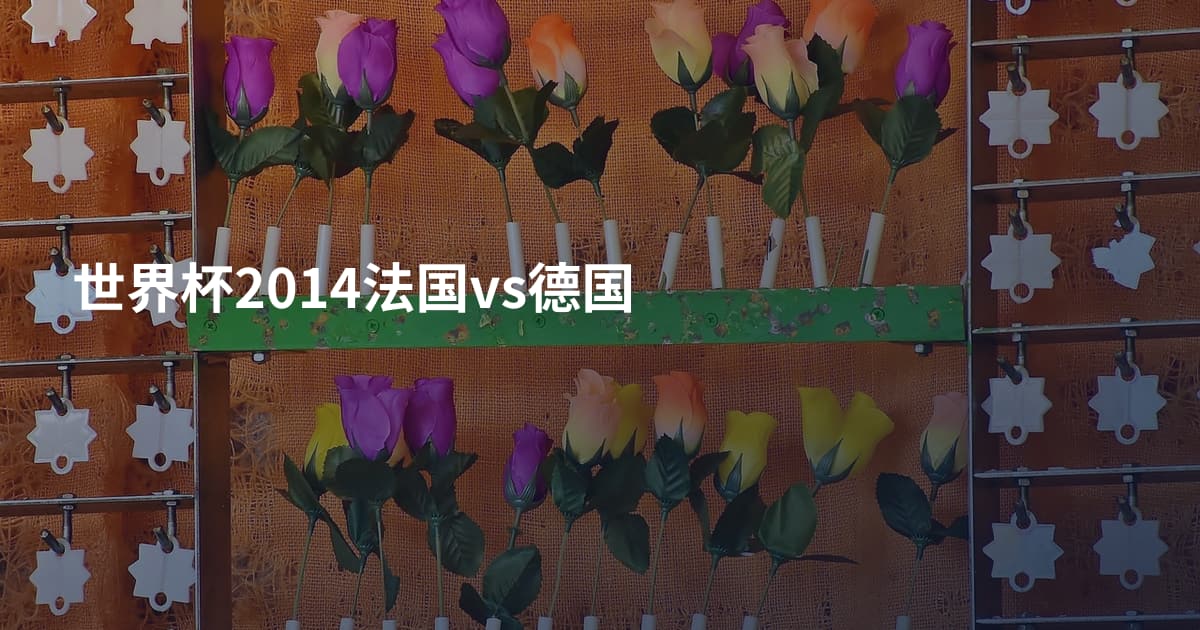 世界杯2014法国vs德国