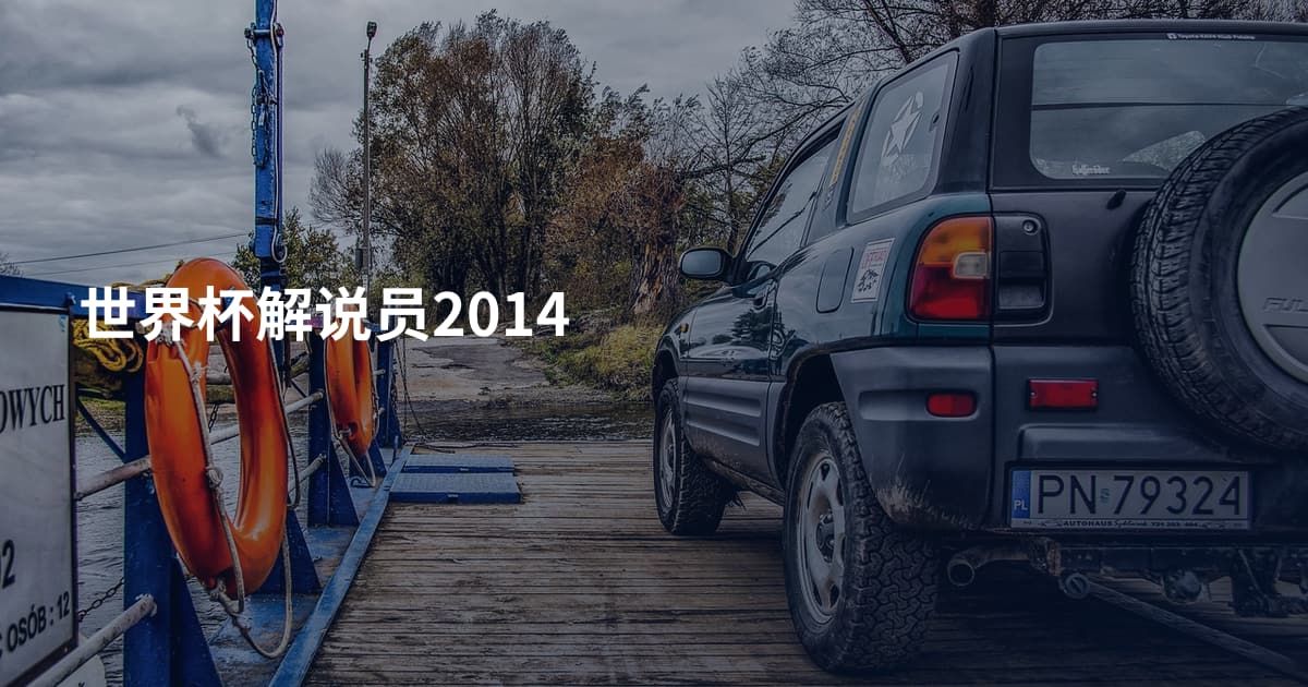 世界杯解说员2014