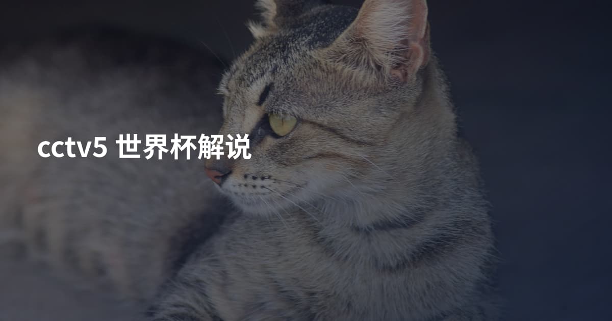 cctv5 世界杯解说