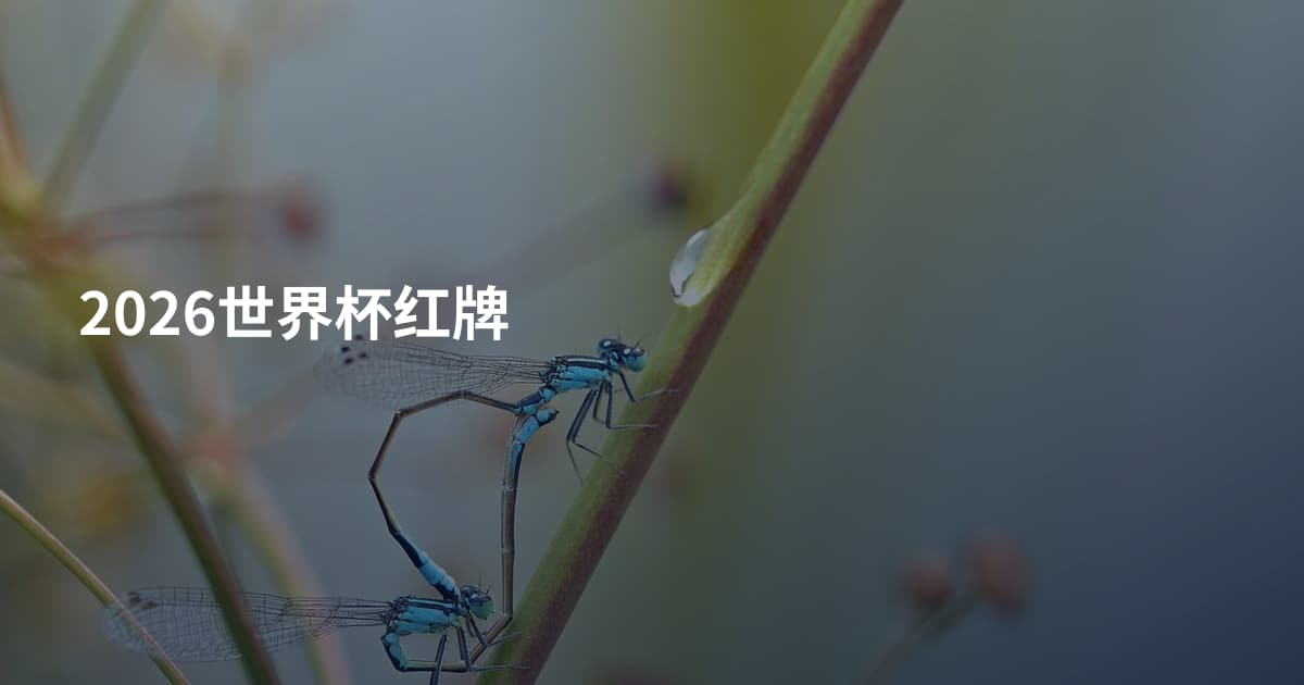 2026世界杯红牌