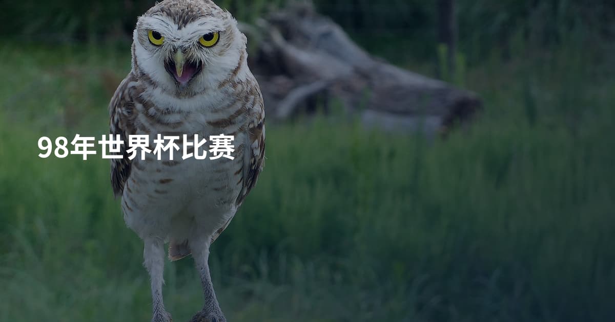 98年世界杯比赛