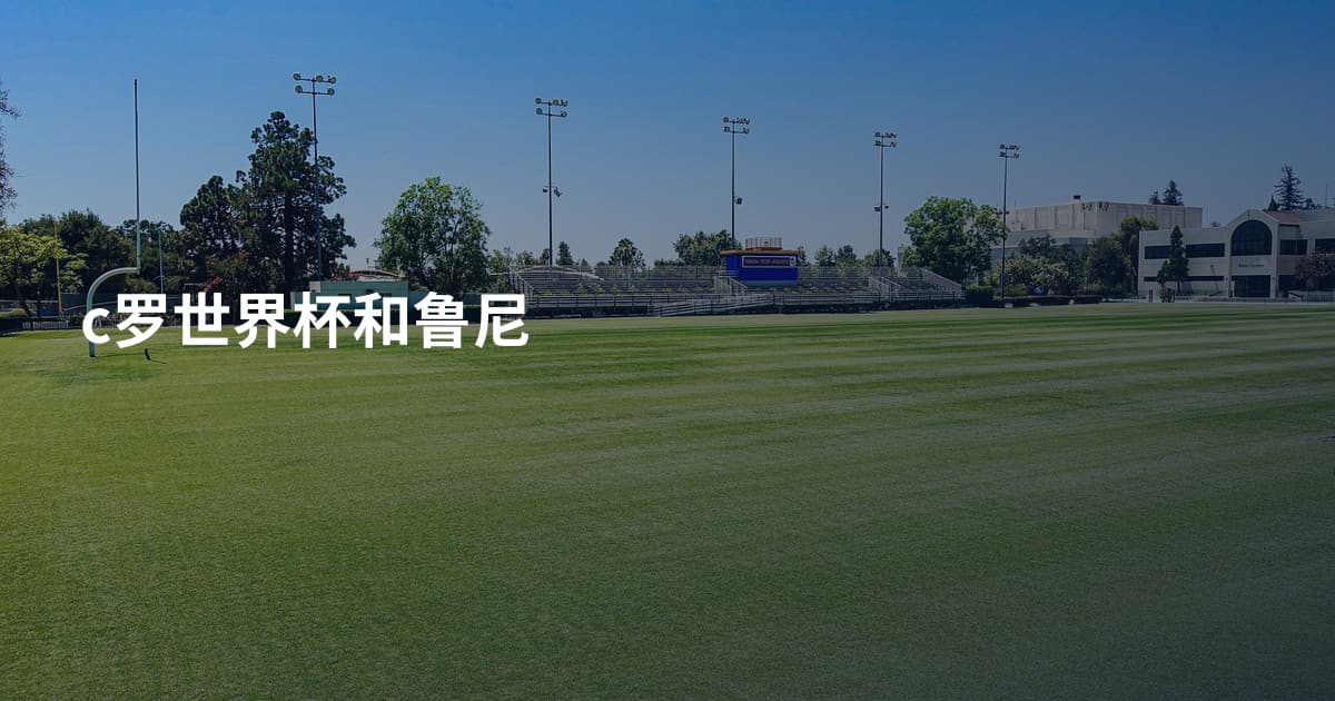 c罗世界杯和鲁尼