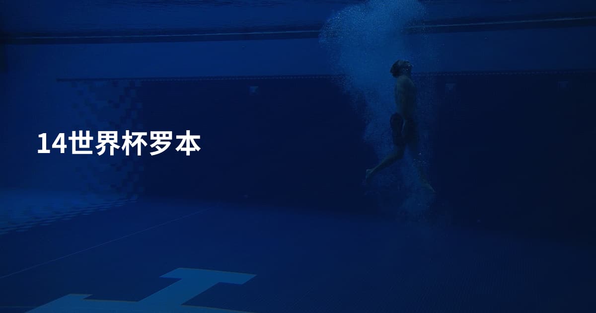 14世界杯罗本