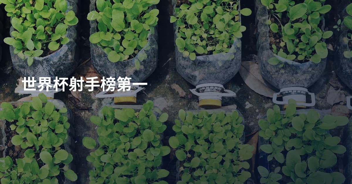 世界杯射手榜第一