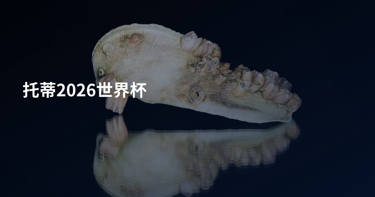 托蒂2026世界杯
