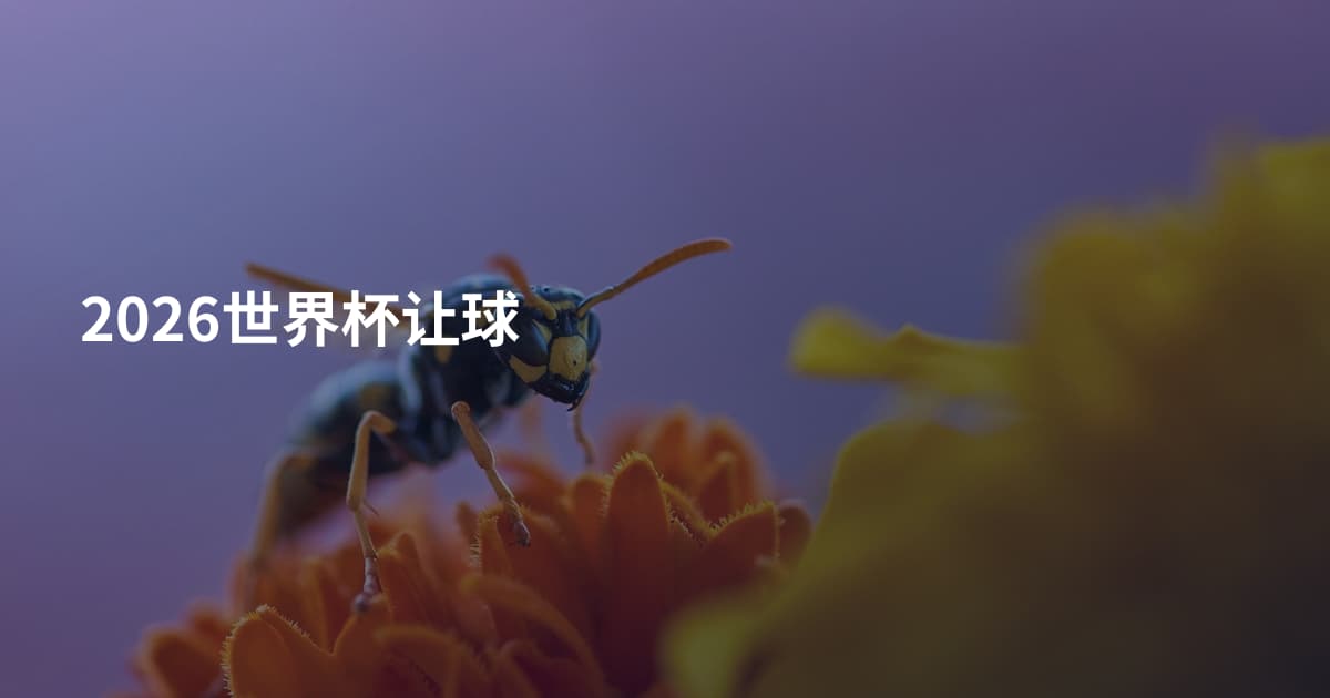 2026世界杯让球