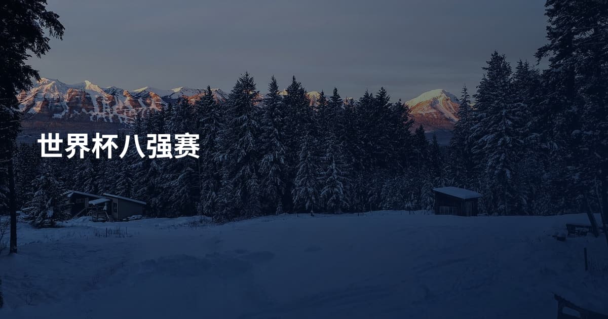 世界杯八强赛