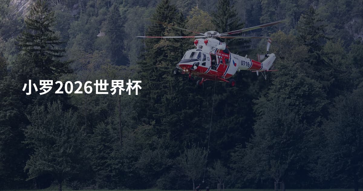 小罗2026世界杯