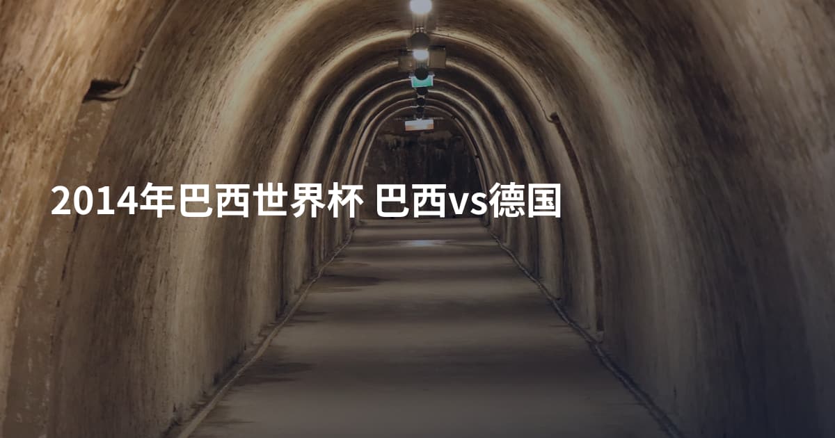 2014年巴西世界杯 巴西vs德国