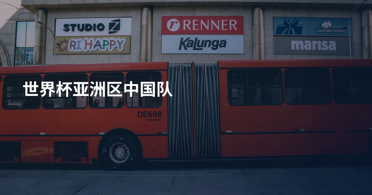 世界杯亚洲区中国队