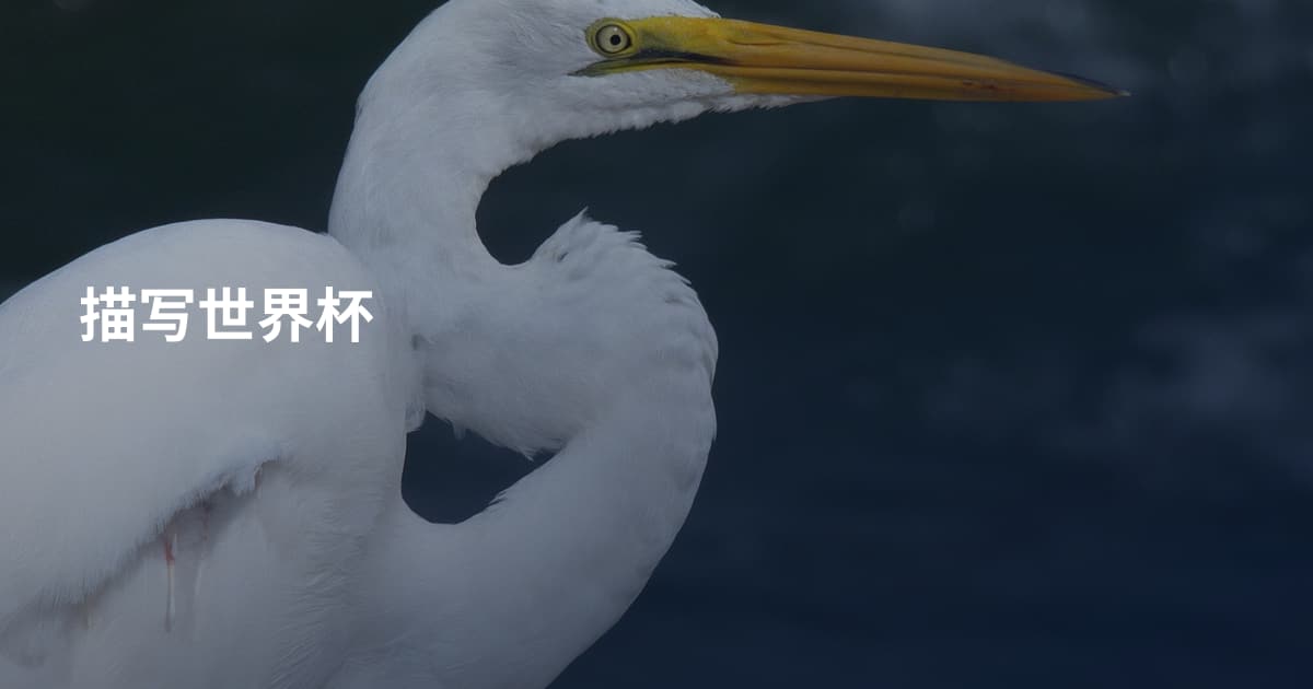 描写世界杯