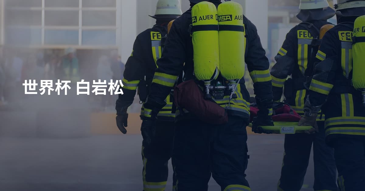 世界杯 白岩松