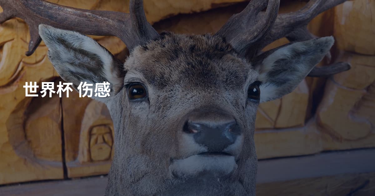 世界杯 伤感