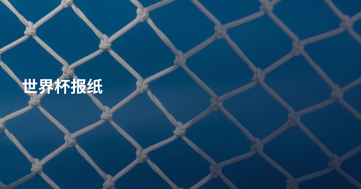 世界杯报纸