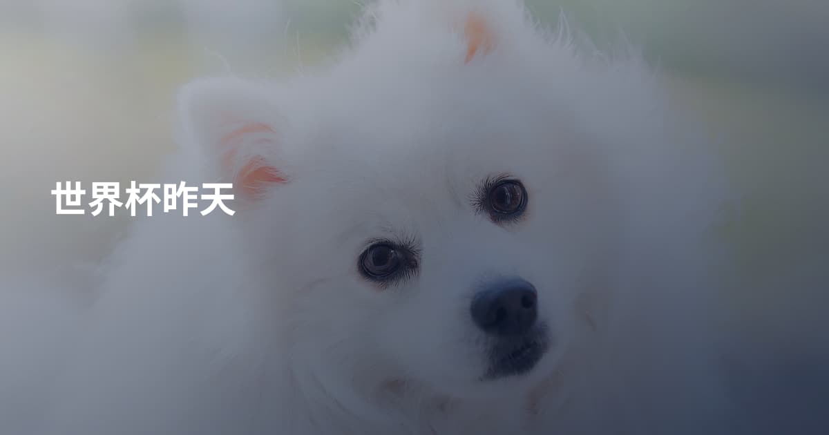 世界杯昨天