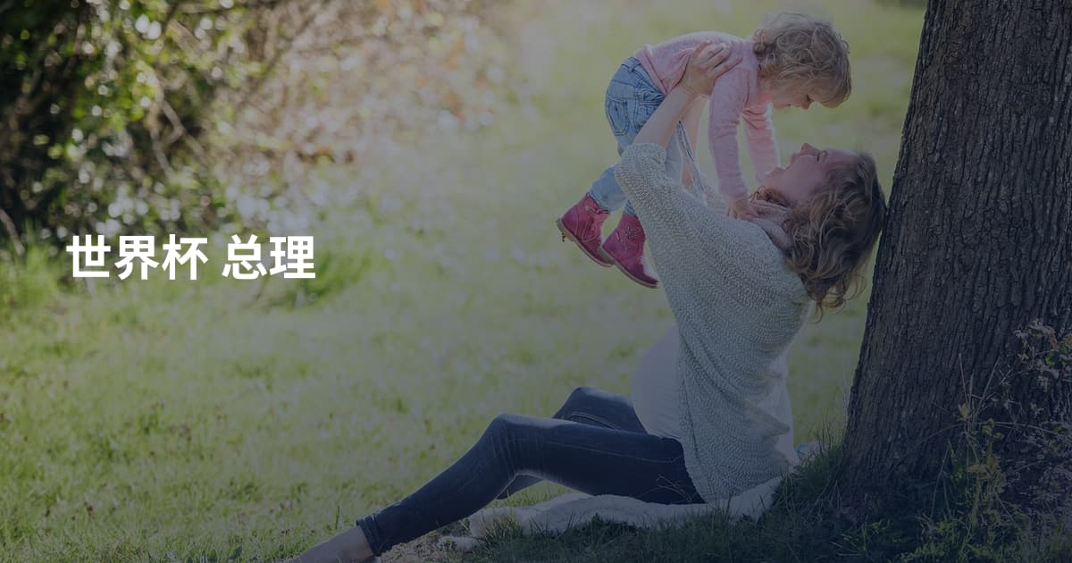 世界杯 总理