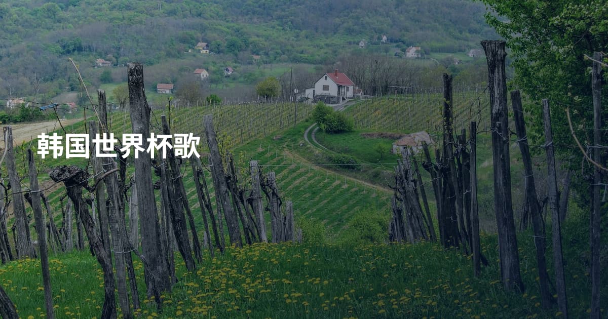 韩国世界杯歌