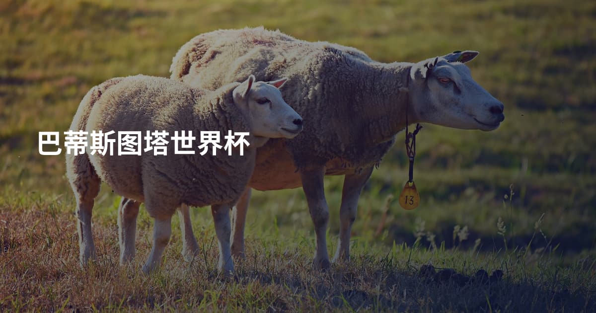 巴蒂斯图塔世界杯