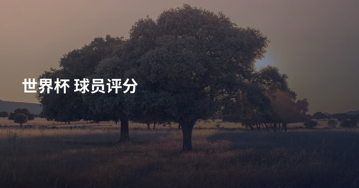世界杯 球员评分