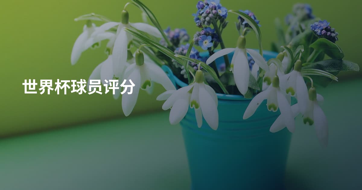 世界杯球员评分
