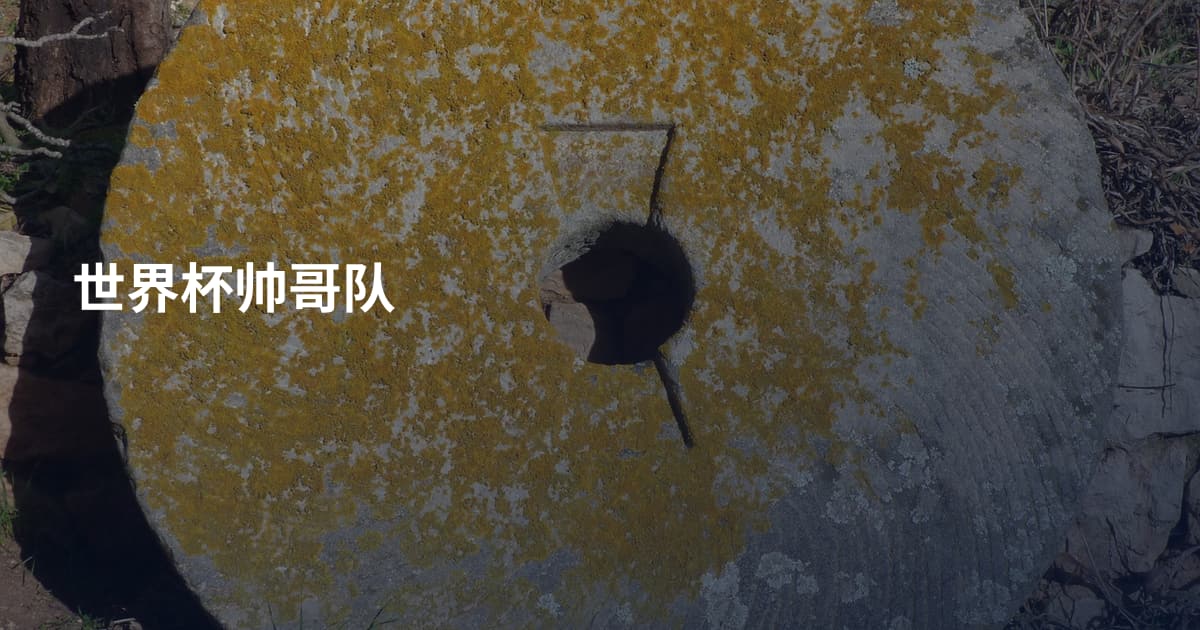 世界杯帅哥队