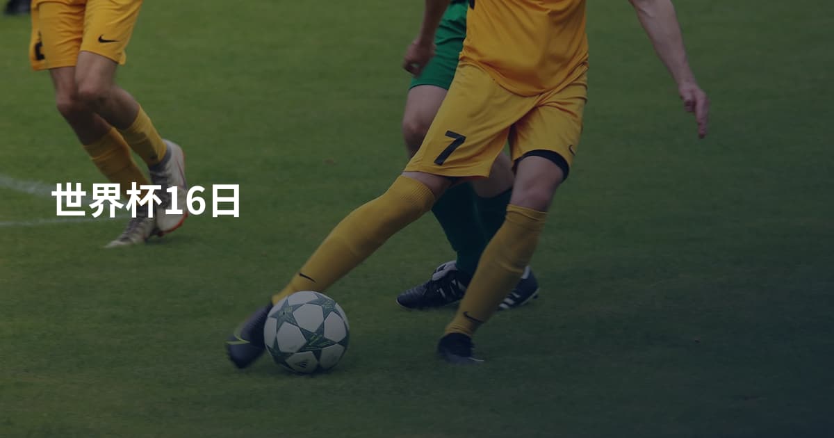 世界杯16日