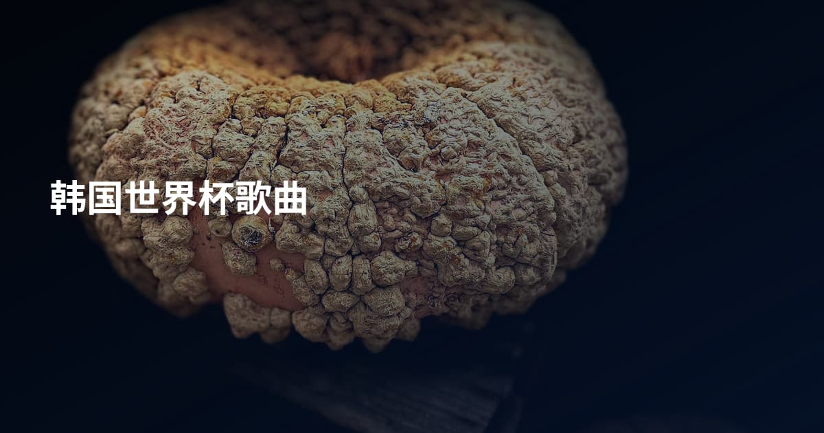 韩国世界杯歌曲