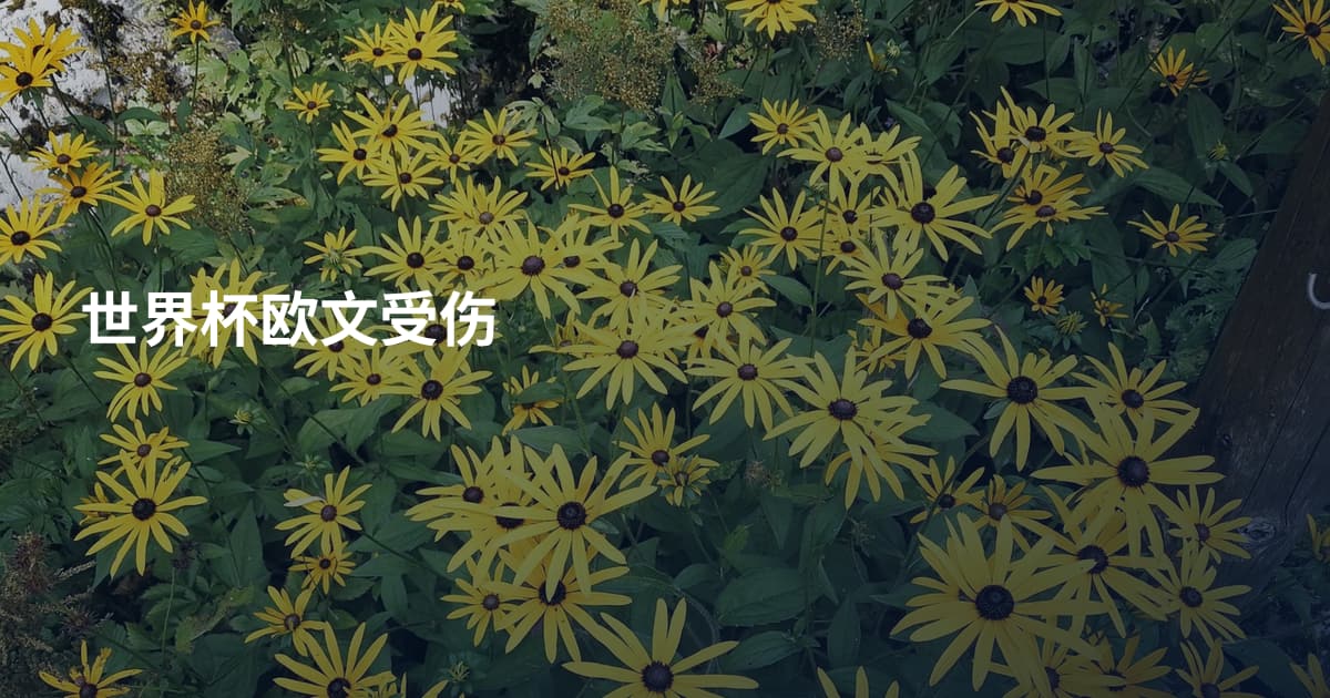 世界杯欧文受伤