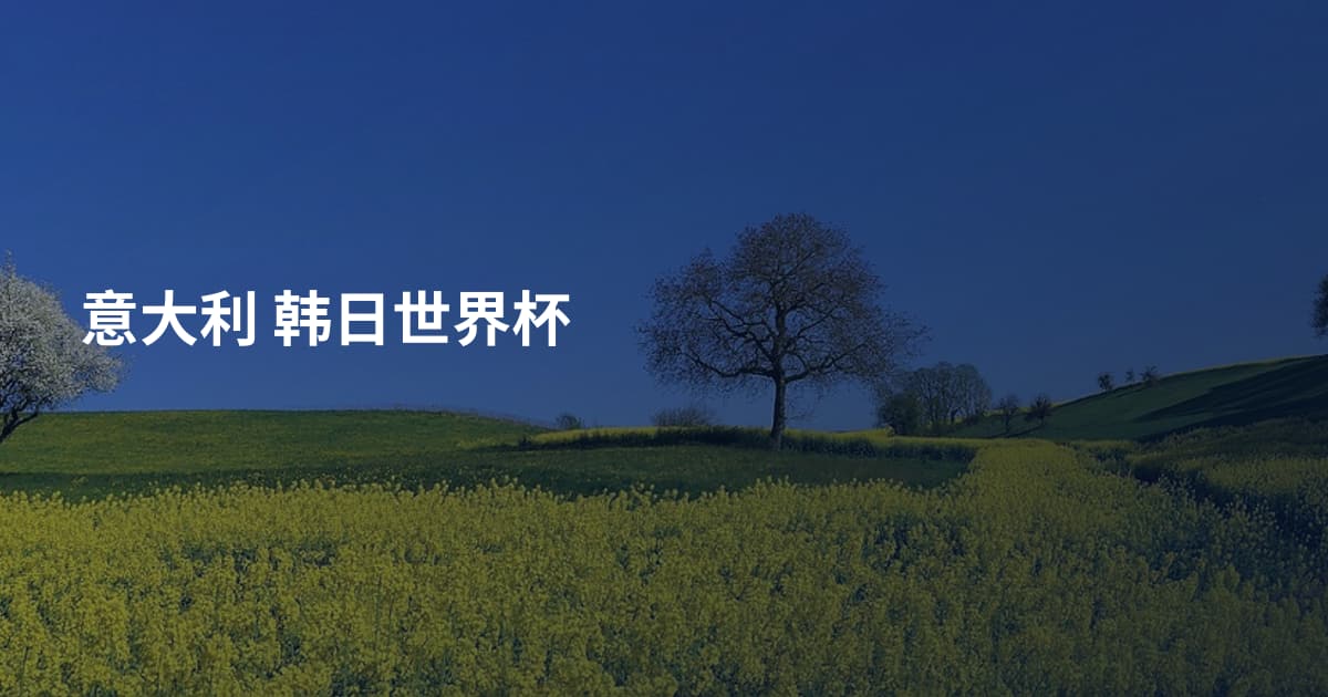 意大利 韩日世界杯