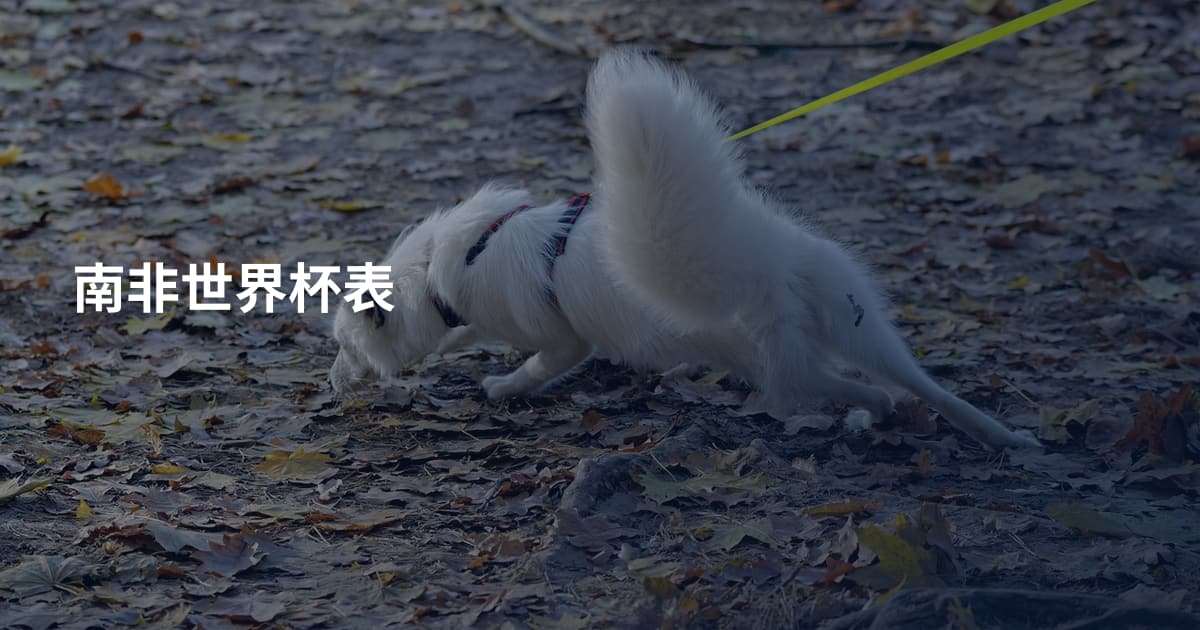 南非世界杯表