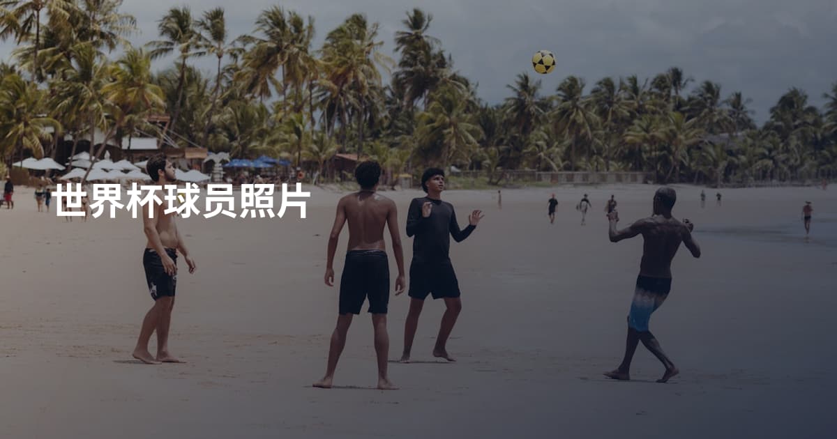 世界杯球员照片