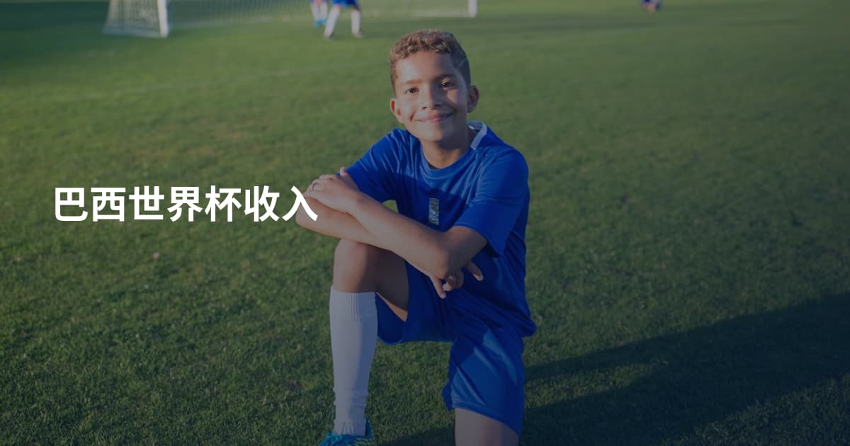 巴西世界杯收入