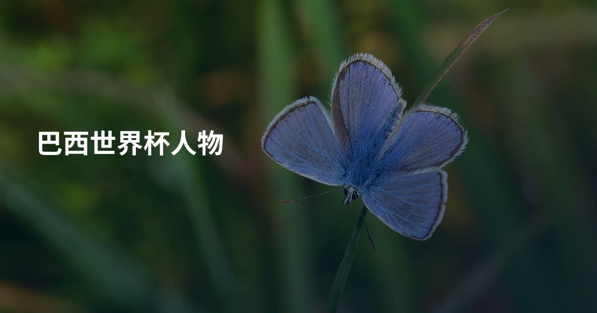 巴西世界杯人物