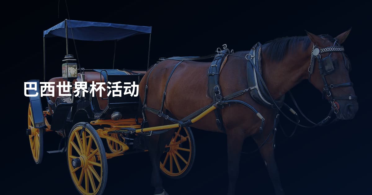巴西世界杯活动