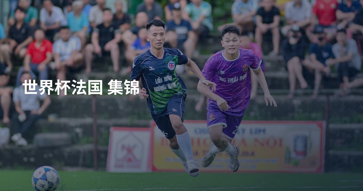 世界杯法国 集锦