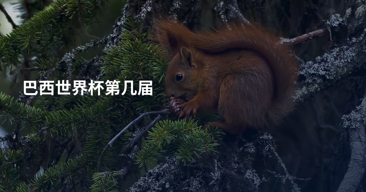 巴西世界杯第几届