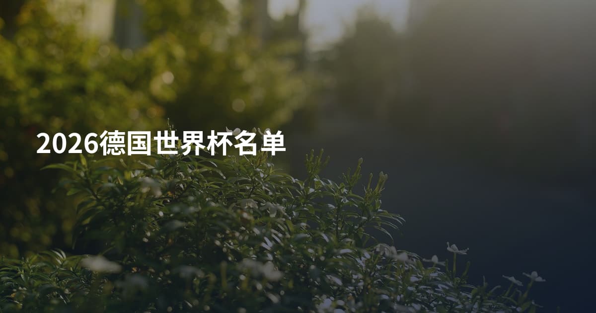 2026德国世界杯名单