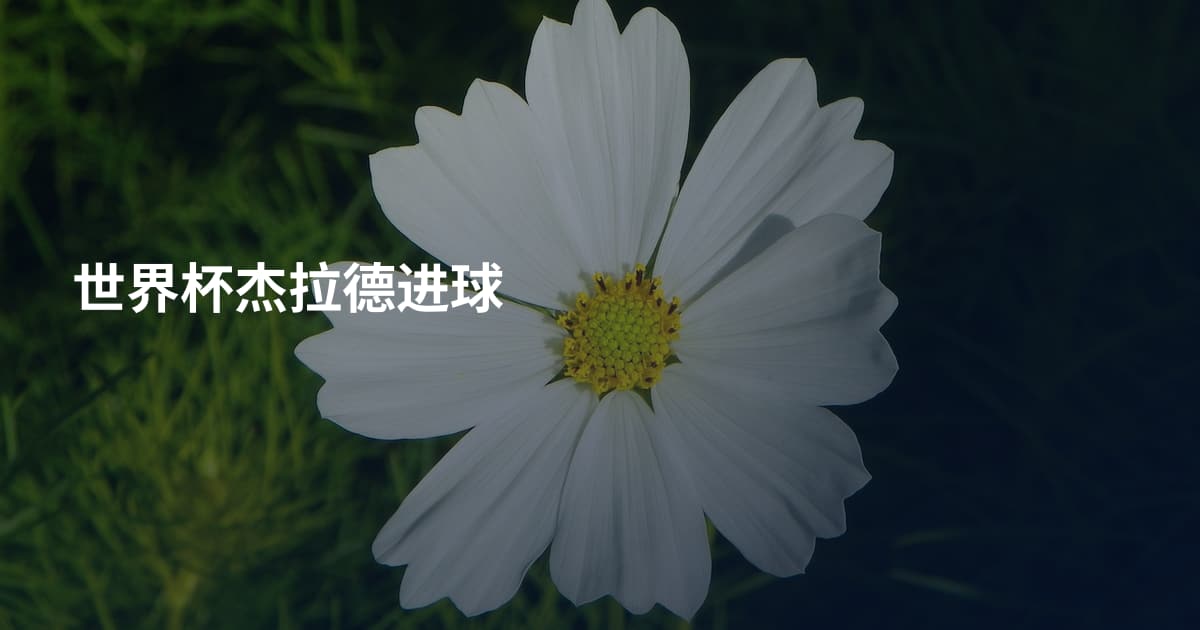 世界杯杰拉德进球